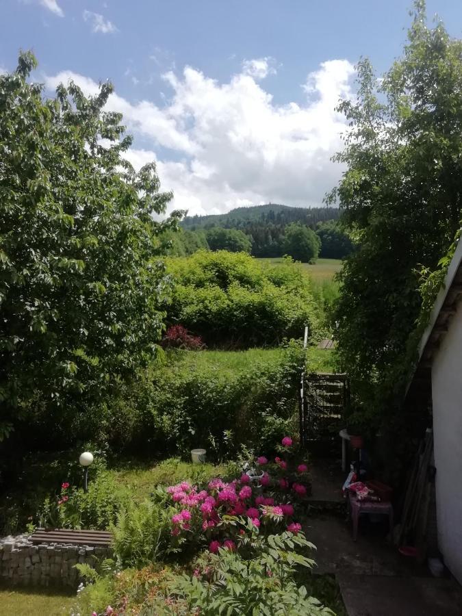 Penzion Pohoda - apartmány Jeseník Esterno foto